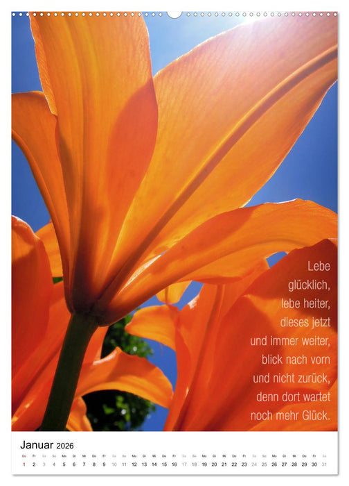 Licht Farbe Natur (CALVENDO Wandkalender 2026)