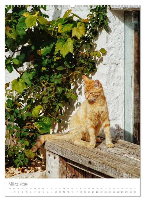 Apulien (CALVENDO Wandkalender 2026)