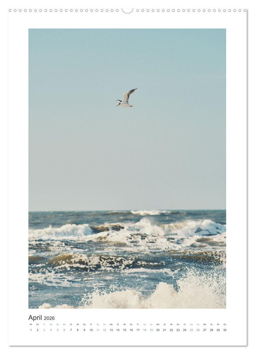 Komm, wir fahren ans Meer! (CALVENDO Wandkalender 2026)
