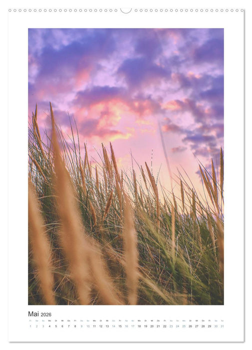 Komm, wir fahren ans Meer! (CALVENDO Wandkalender 2026)