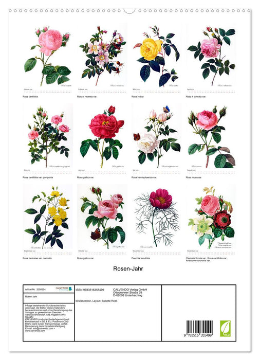 Rosen-Jahr (CALVENDO Wandkalender 2026)