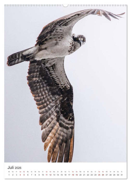 Kanada - Zwischen Atlantik und Pazifik. (CALVENDO Premium Wandkalender 2026)