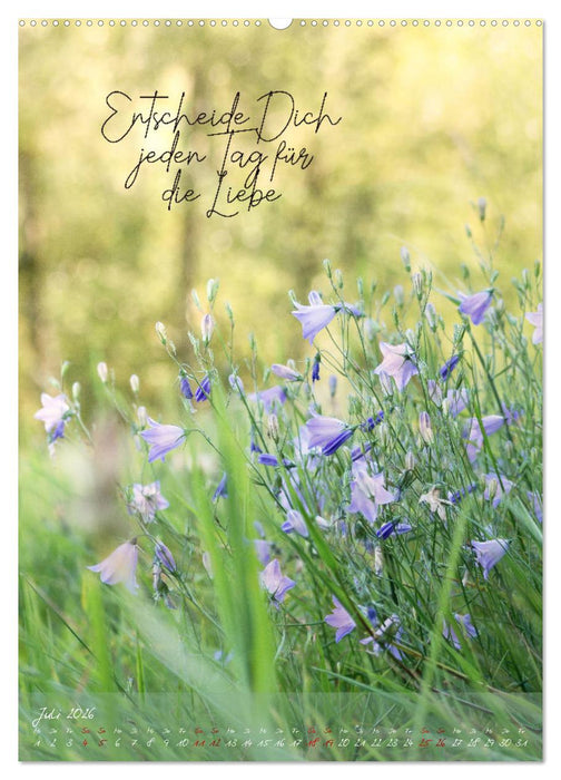 Finde Harmonie in Allem (CALVENDO Premium Wandkalender 2026)