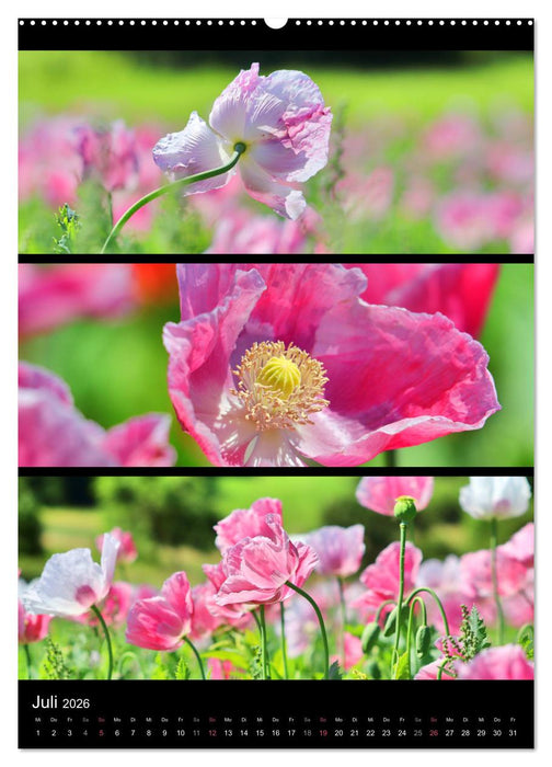 Bezaubernde Farben der Natur (CALVENDO Premium Wandkalender 2026)