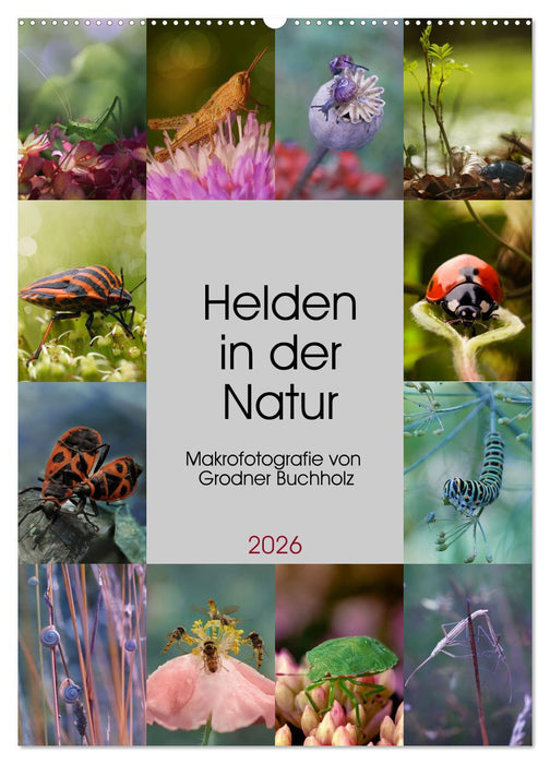 Helden in der Natur (CALVENDO Wandkalender 2026)