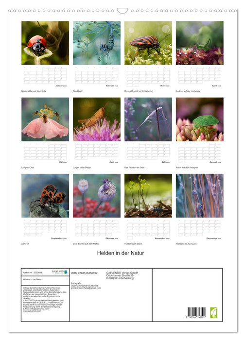 Helden in der Natur (CALVENDO Wandkalender 2026)