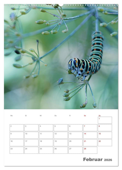 Helden in der Natur (CALVENDO Wandkalender 2026)