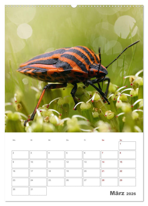 Helden in der Natur (CALVENDO Wandkalender 2026)