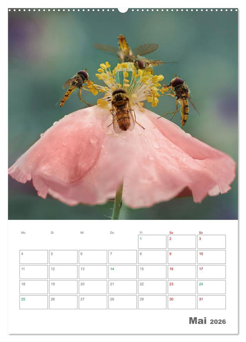 Helden in der Natur (CALVENDO Wandkalender 2026)