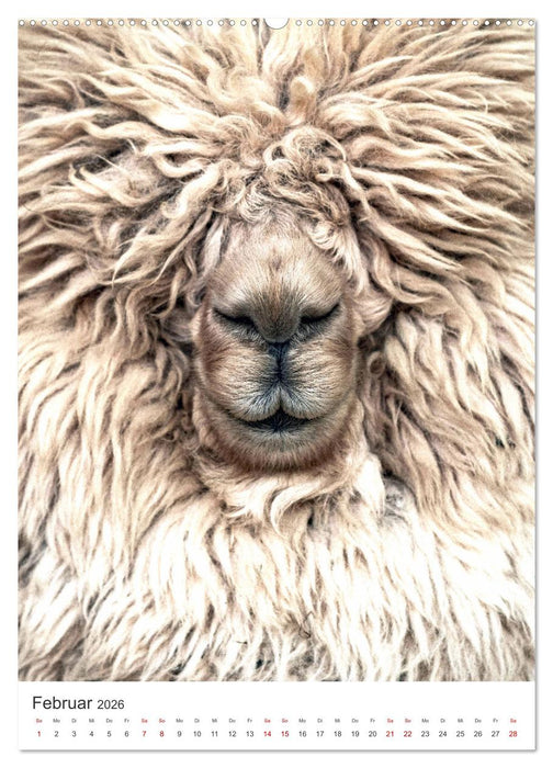 Färöer - Die Schafsinseln im Norden. (CALVENDO Wandkalender 2026)