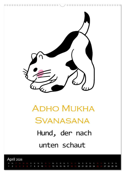 Yogakatzen - ganz entspannt im Hier und Jetzt (CALVENDO Wandkalender 2026)