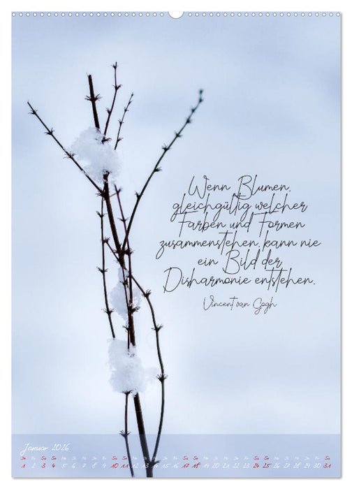 Finde Harmonie in Allem (CALVENDO Wandkalender 2026)