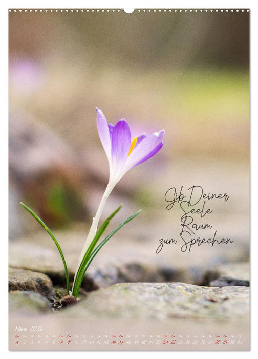 Finde Harmonie in Allem (CALVENDO Wandkalender 2026)