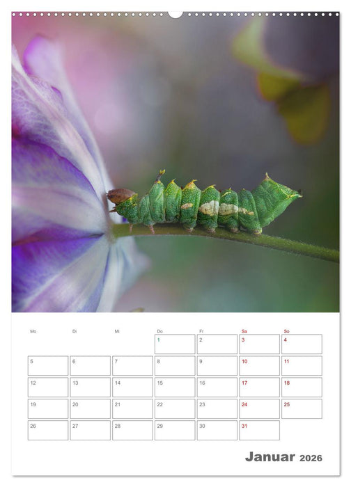 Helden in der Natur (CALVENDO Premium Wandkalender 2026)