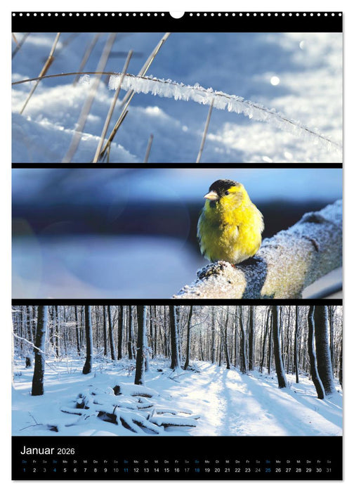 Bezaubernde Farben der Natur (CALVENDO Wandkalender 2026)