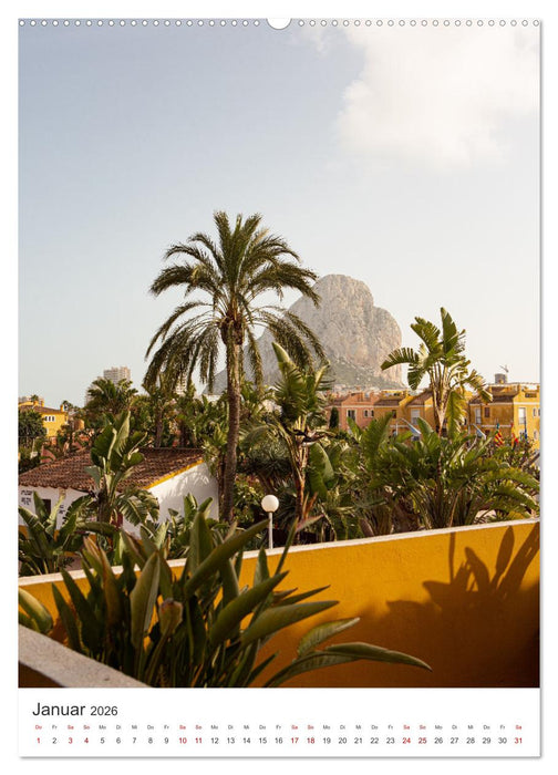 Palm Springs - Immer der Sonne nach. (CALVENDO Wandkalender 2026)