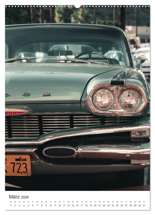 Palm Springs - Immer der Sonne nach. (CALVENDO Wandkalender 2026)