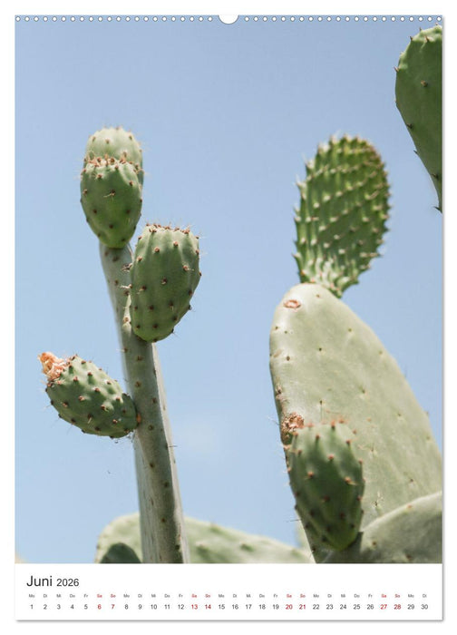 Palm Springs - Immer der Sonne nach. (CALVENDO Wandkalender 2026)