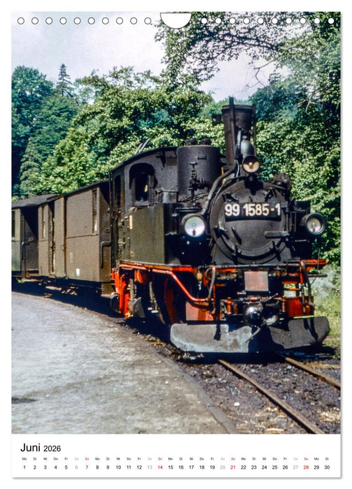 Deutsche Reichsbahn-Dampfzüge vor über 40 Jahren (CALVENDO Wandkalender 2026)