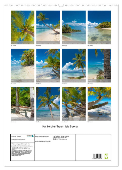 Karibischer Traum Isla Saona (CALVENDO Wandkalender 2026)
