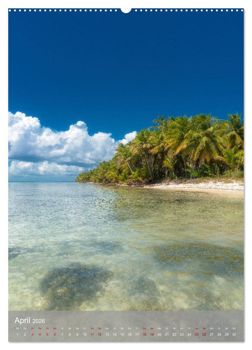 Karibischer Traum Isla Saona (CALVENDO Wandkalender 2026)