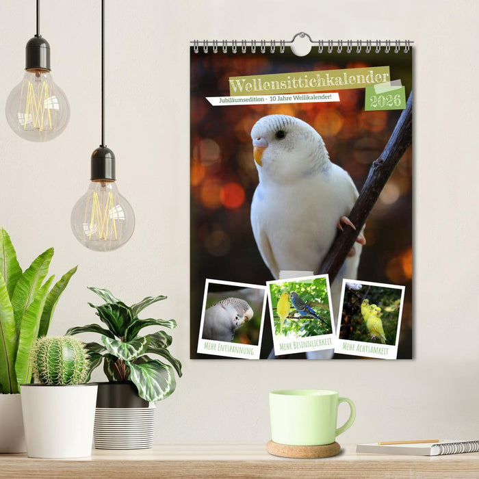 Wellensittichkalender Jubiläumsedition - 10 Jahre Wellensittichkalender! (CALVENDO Wandkalender 2026)