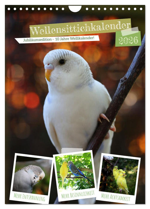 Wellensittichkalender Jubiläumsedition - 10 Jahre Wellensittichkalender! (CALVENDO Wandkalender 2026)