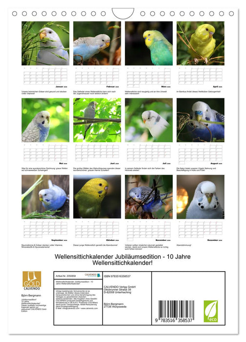 Wellensittichkalender Jubiläumsedition - 10 Jahre Wellensittichkalender! (CALVENDO Wandkalender 2026)