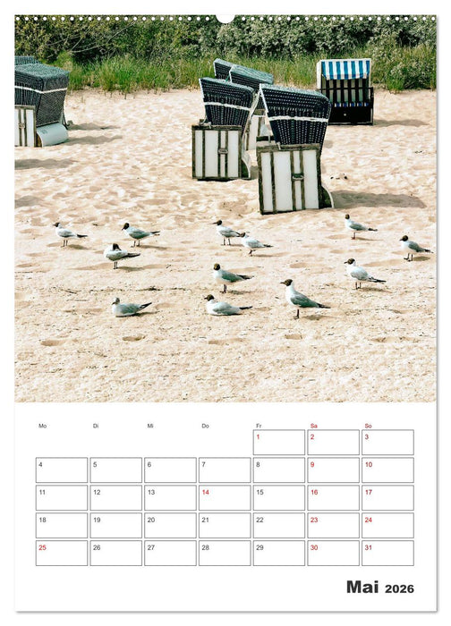 Usedom - Terminplaner (CALVENDO Premium Wandkalender 2026)