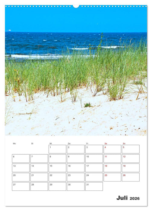 Usedom - Terminplaner (CALVENDO Premium Wandkalender 2026)