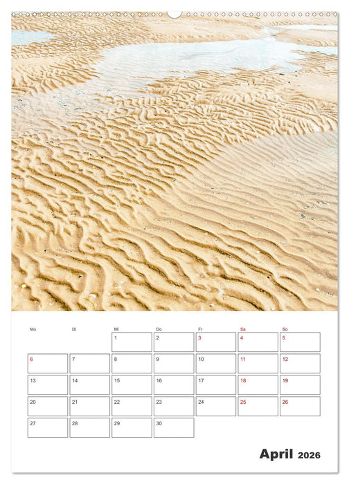 Insel Föhr - Urlaubsplaner (CALVENDO Wandkalender 2026)