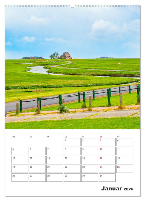 Hallig Hooge - Reiseplaner (CALVENDO Wandkalender 2026)