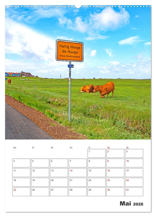 Hallig Hooge - Reiseplaner (CALVENDO Wandkalender 2026)
