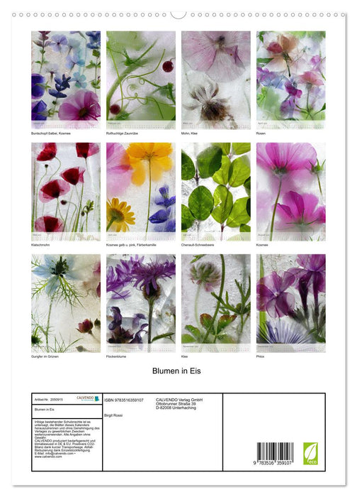 Blumen in Eis (CALVENDO Premium Wandkalender 2026)
