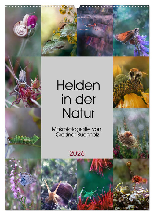 Helden in der Natur (CALVENDO Wandkalender 2026)