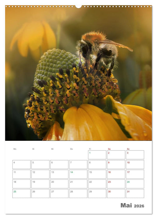 Helden in der Natur (CALVENDO Wandkalender 2026)