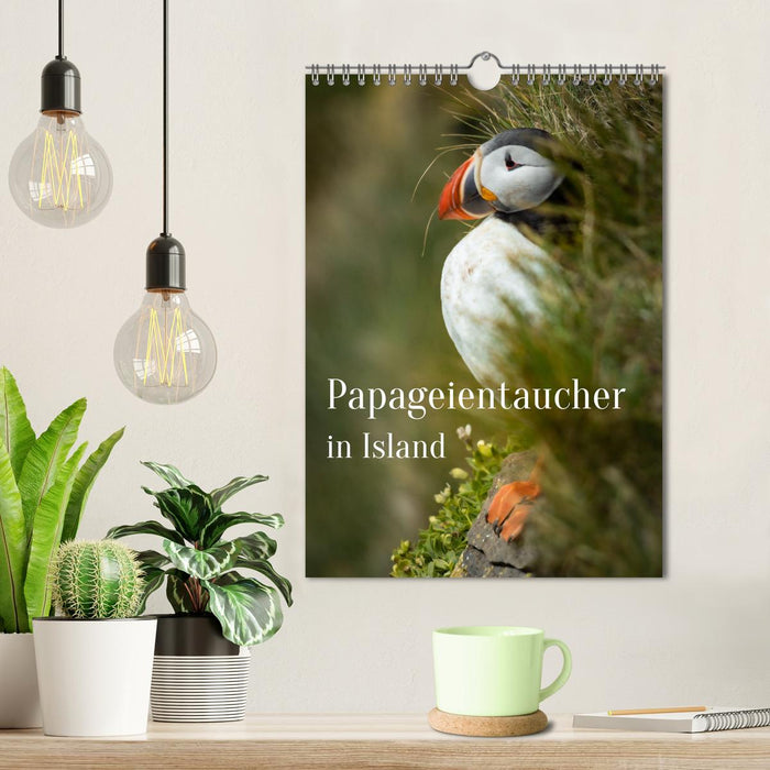 Papageientaucher in Island (CALVENDO Wandkalender 2026)