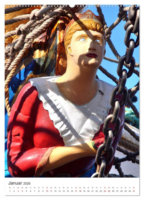 Unter weißen Segeln - Mit einem Dreimaster auf der Ostsee (CALVENDO Premium Wandkalender 2026)