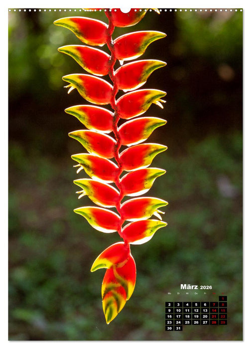 Peru - Kultur - Menschen - Natur (CALVENDO Wandkalender 2026)