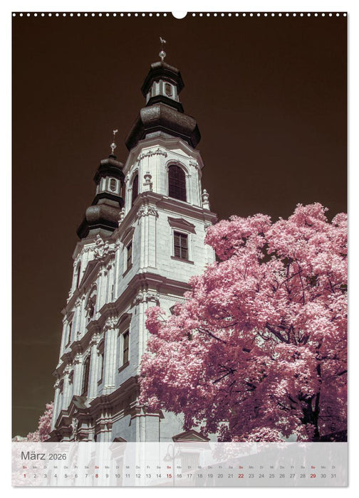 MAINZ IN INFRAROT (CALVENDO Premium Wandkalender 2026)