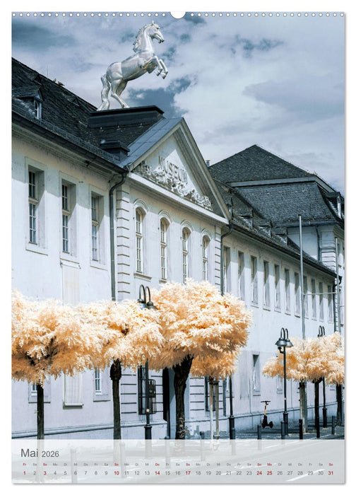 MAINZ IN INFRAROT (CALVENDO Premium Wandkalender 2026)