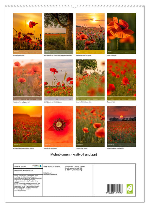 Mohnblumen - kraftvoll und zart (CALVENDO Premium Wandkalender 2026)