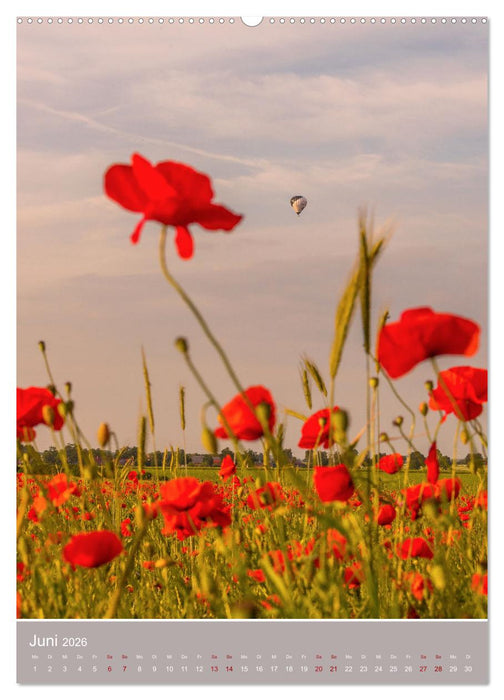 Mohnblumen - kraftvoll und zart (CALVENDO Premium Wandkalender 2026)