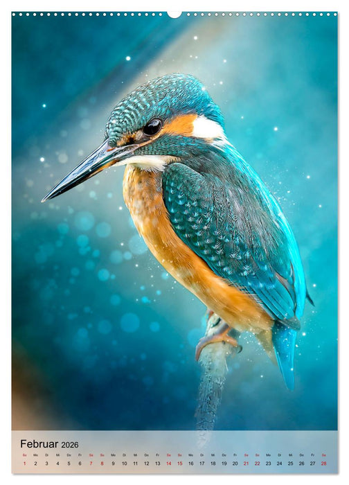 Schillernder Eisvogel (CALVENDO Wandkalender 2026)