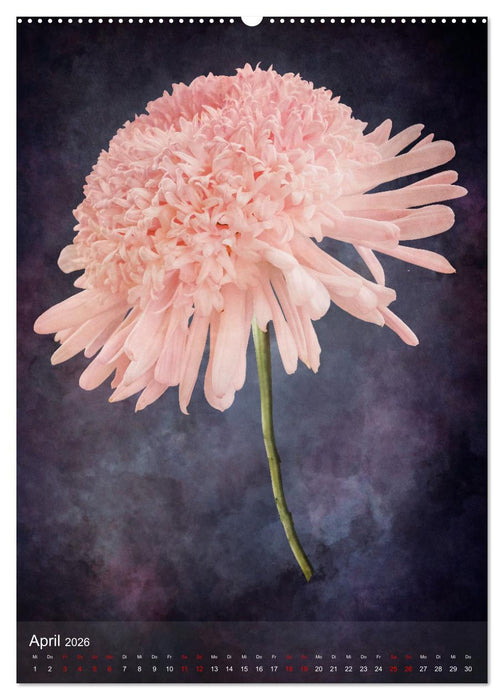 Floristikträume durchs Jahr (CALVENDO Premium Wandkalender 2026)