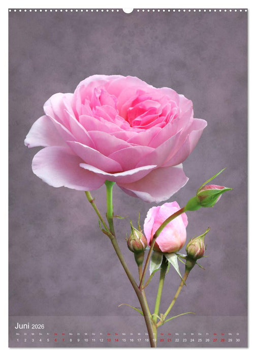 Floristikträume durchs Jahr (CALVENDO Premium Wandkalender 2026)