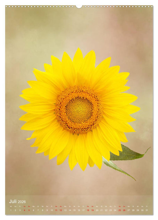 Floristikträume durchs Jahr (CALVENDO Premium Wandkalender 2026)