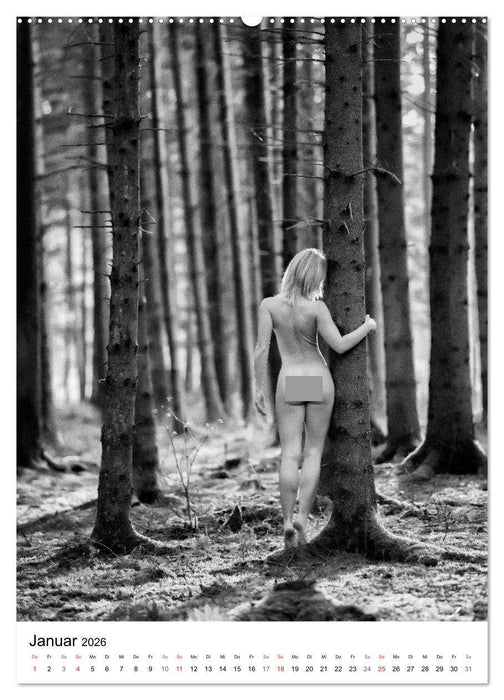 BaumAkte (CALVENDO Premium Wandkalender 2026)