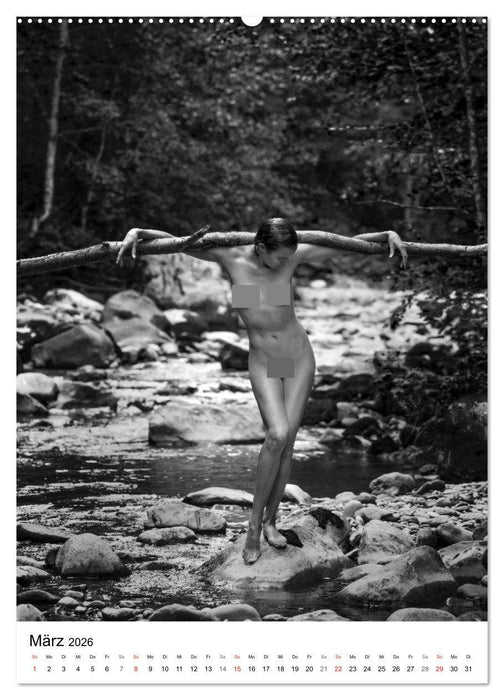 BaumAkte (CALVENDO Premium Wandkalender 2026)