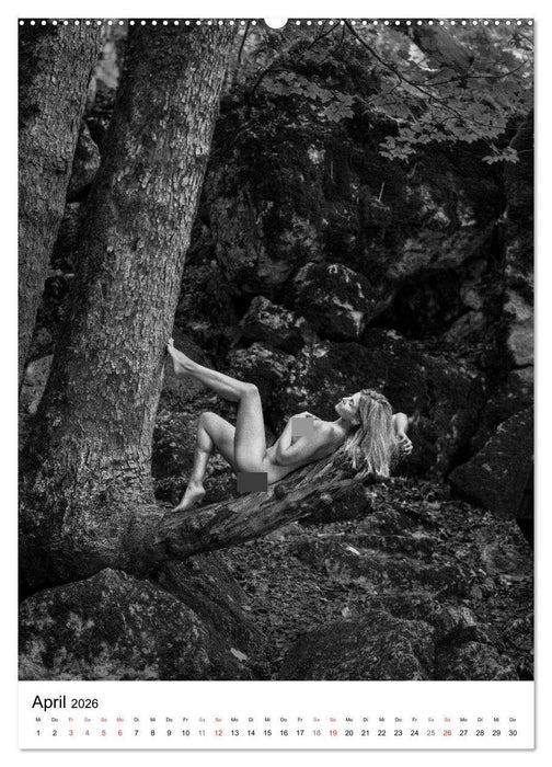 BaumAkte (CALVENDO Premium Wandkalender 2026)